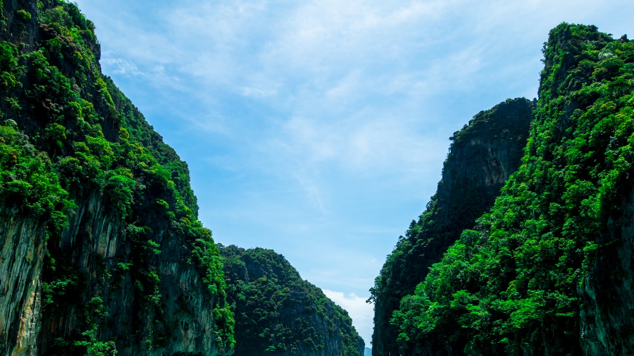 探尋天津歷史與文化底蘊：五大道文化旅游區(qū)指南插圖